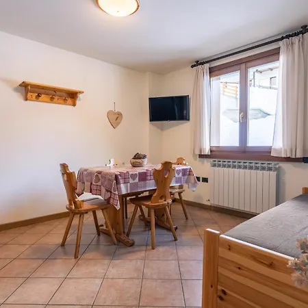 Primula * 산타카테리나발루프바